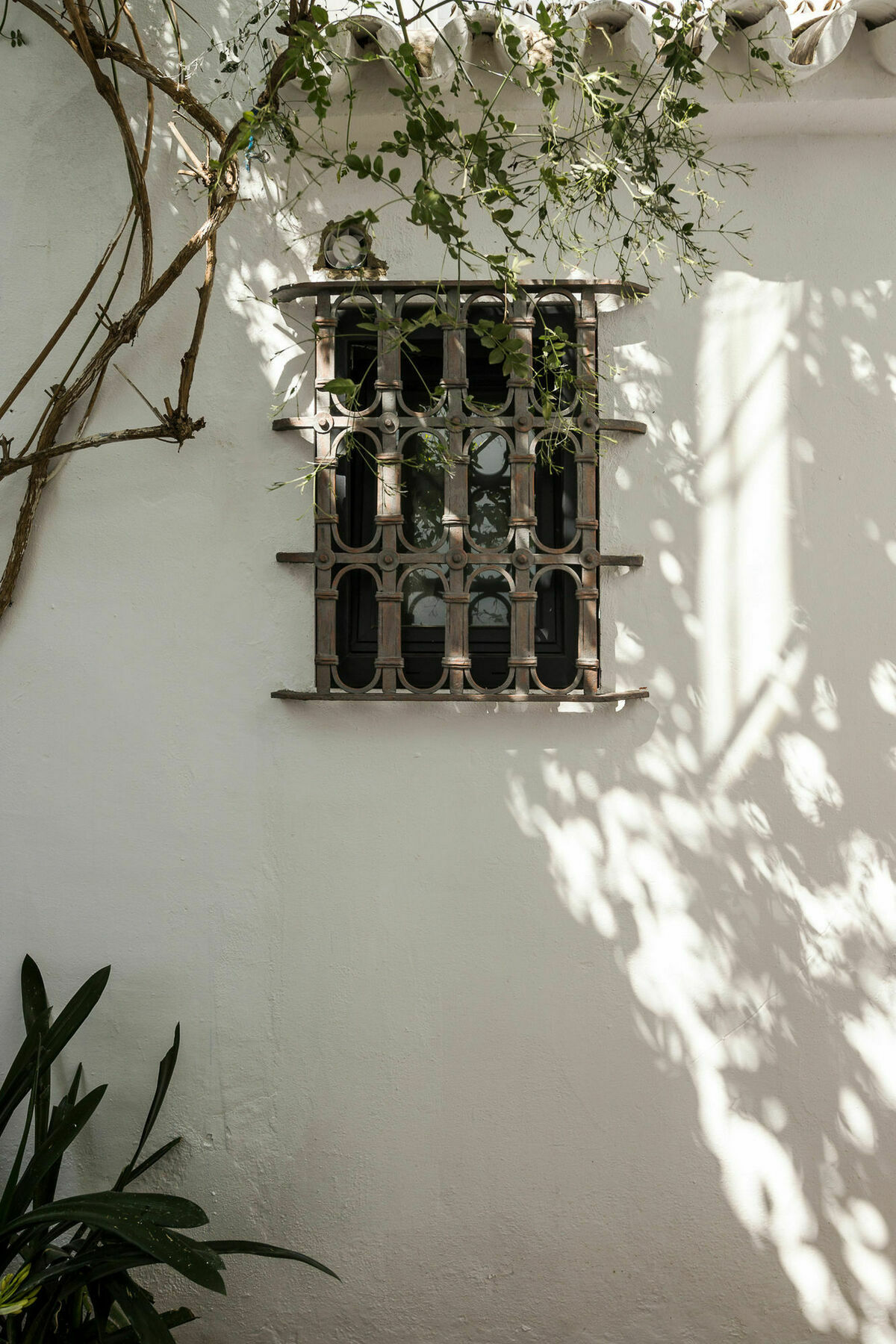 Selecta Apartments Los Venerables Sevilla Exteriör bild